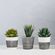 plastico-adesivo-para-decoracao-leotack-cimento-queimado-10079108-2