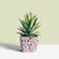 plastico-adesivo-para-decoracao-leotack-folhas-de-outono-10079154-2