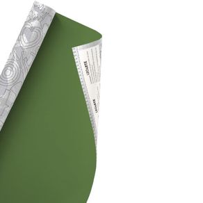 plastico-adesivo-para-decoracao-leotack-verde-tendencia-10079229-1