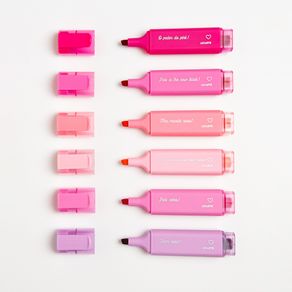 Marca-Texto Pink Vibes 6 Cores Estojo Leoarte - leonora